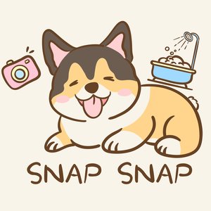 SNAP SNAP Logo